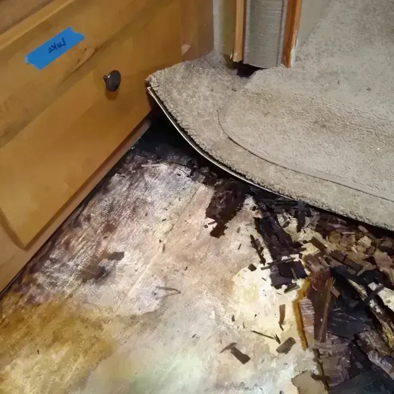 Wood Floor Water Damage in Marshalltown, IA